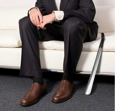 Long Handled Shoe Horn